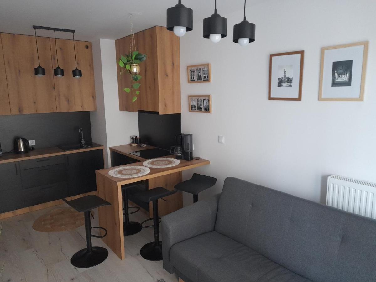 Apartament Amelia Zamosc  Bagian luar foto