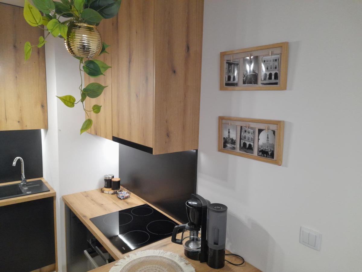 Apartament Amelia Zamosc  Bagian luar foto